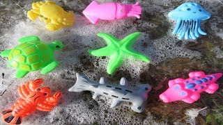 Sea Animal Toys Frozen and Unfrozen Playtime4Kidz [upl. by Yenreit]