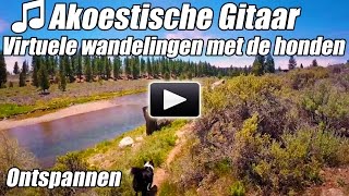 Akoestische Gitaar Instrumentale Virtuele Walking Tour Hond Wandelingen Rivier Loopband Video Wandel [upl. by Sonstrom]