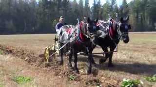 Horse Drawn Two Way Plow [upl. by Clementi]