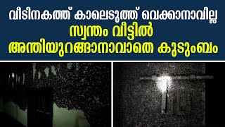 കോട്ടെരുമ ശല്യം കൊണ്ട് വീടുവിട്ടിറങ്ങി ഒരു കുടുംബം  Palakkad [upl. by Lark356]