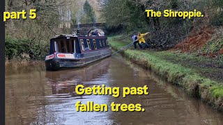 Narrowboating through winter Shropshire union canal Woodseaves cutting I see a bird Murmuration [upl. by Ybroc279]