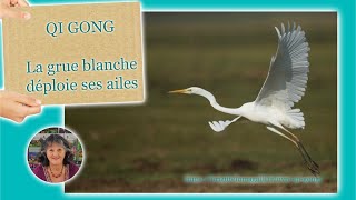 La grue blanche déploie ses ailes Qi Gong [upl. by Ayiram]