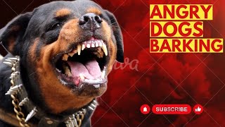 Angry Dog Sounds To Annoying Dogs  Angry Rottweiler barking [upl. by Vacuva615]