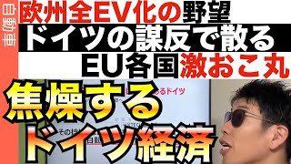 なぜ欧州は35年完全EV化を諦めたのか？裏事情を読み解く。 [upl. by Anderer]