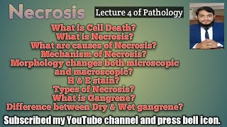 Necrosis Cell death causes mechanism L4 Pathology Lecture Series PharmacistTayyebOfficial [upl. by Zetrauq]