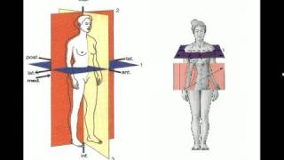 ANATOMIA ESPACIAL [upl. by Otis]