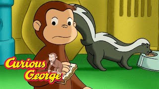 Dont scare the skunk 🐵 Curious George 🐵 Kids Cartoon 🐵 Kids Movies 🐵 Videos for Kids [upl. by Ettennej]