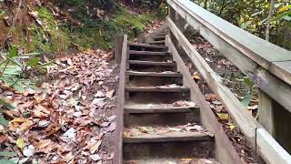 Red River Gorge KY day hike with Belle [upl. by Tihor]