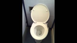 How to Flush a British Toilet [upl. by Francene]