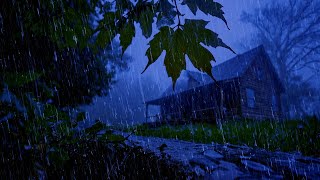 Barulho de Chuva para Dormir Profundamente  Som de Chuva Vento e Trovoadas Ã Noite ASMR Sleep 01 [upl. by Etoile]