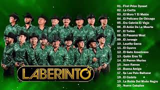 Corridos de caballos Grupo Laberinto  Mix Puros Corridos Caballos Exitos [upl. by Caitrin582]