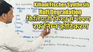 BSc 2nd sem  Kiliani Fischer Synthesis  Ruff Degradation  Arabinose to Glucose  BSc 3rd year [upl. by Jezabella]