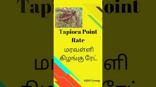 மரவள்ளிக்கிழங்கு விலை tapioca shortsvideo trending [upl. by Atlanta925]