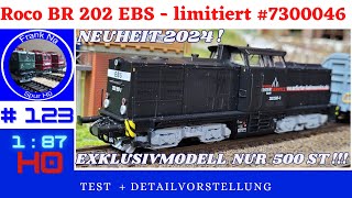 Roco BR 202 EBS V100 DR 7300046 Limitiert und Excklusiv [upl. by Lyndsay]