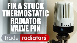 How to repair a thermostatic radiator valve with a stuck pin [upl. by Wilt]