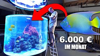 30000 Liter  Deutschlands größte KORALLENZUCHT Mach das NICHT so in deinem Aquarium [upl. by Donall]