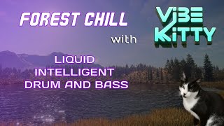 FOREST CHILL WITH LIQUID INTELLIGENT DRUM AND BASS [upl. by Rehpotsrhc168]