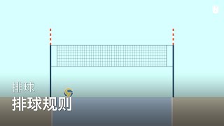 攻擊跑位分析起來！四號位、二號位amp多點進攻的眉角 Analyzing Different Spiking Positions ｜Mings Analysis [upl. by Bilow]