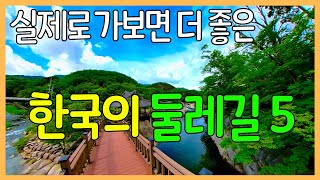 걷기 좋은 한국의 둘레길 5곳  대한민국 좋은 여행지  기분 좋은 트레킹  Walking Trails in Korea  Trekking Road [upl. by Yoho]