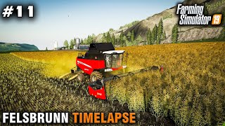 FS19 Timelapse Felsbrunn 11 New Combine [upl. by Ablasor]