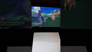 How to evolve Tirtouga in pokemon sun and moon [upl. by Lankton]