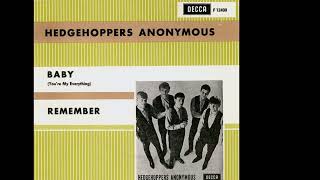 The Hedgehoppers Anonymous  Remember 1966 [upl. by Johansen]