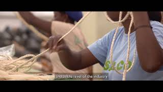 Small business Sisalco strengthens the sisal industry in Haiti [upl. by Lebasiram]