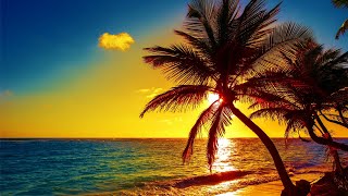 Beautiful Relaxing Peaceful Music Calm Music 247 quotTropical Shoresquot By Tim Janis [upl. by Gyimah646]