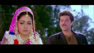 Janam Meri Janam  Mr Bechara 1996 Anil Kapoor  Sri Devi Full Video Song HD [upl. by Sirtemed]