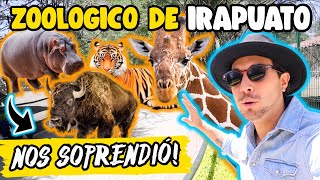 ZOOLÓGICO de IRAPUATO de los MÁS BONITOS en MEXICO🇲🇽🦁🦒 Precios y GUÍA COMPLETA✅ [upl. by Elleval]