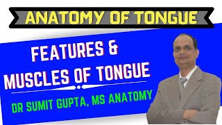 ANATOMY OF TONGUE  FEATURES amp MUSCLES [upl. by Melda]