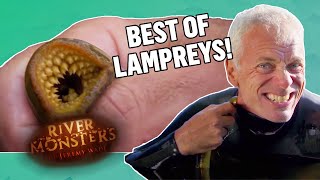 The BEST OF LAMPREYS  COMPILATION  River Monsters [upl. by Kurth218]