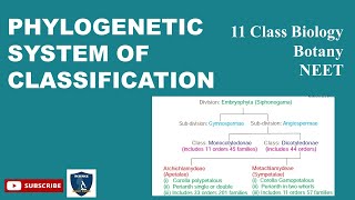 CBSE Class 11 Biology  Angiosperms  By Shiksha House [upl. by Hendren300]