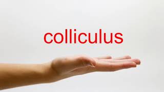 How to Pronounce colliculus  American English [upl. by Atiuqnahs]