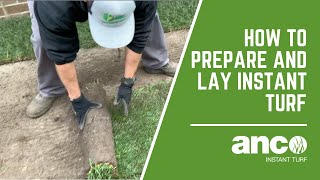 How to prepare and lay Instant Turf Anco Turf [upl. by Nnairret]