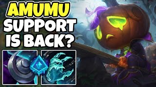 Challenger support shows you how to play AMUMU in high elo  Amumu support  1324 League of legends [upl. by Aisaim]