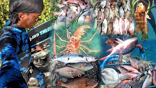 5 Days Spearfishing Highlights  Spearfishing in Jamaica  How To Spearfish DeepShallow Waters [upl. by Sinylg]