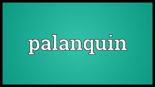 Palanquin Meaning [upl. by Isied]