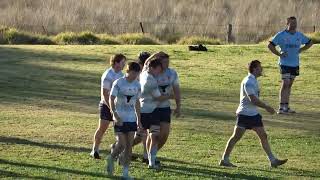 Lions v Narrabri first grade tries today [upl. by Delos71]