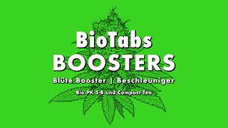 BioTabs Blüte BoosterBeschleuniger – Bio PK 58 und Compost Tea [upl. by Abagail]