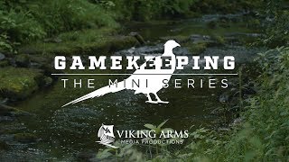 Gamekeeping The Mini Series  Pheasant E1 [upl. by Ylrehs]