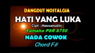 Hati Yang Luka  Meggy Z Karaoke By Saka [upl. by Znarf]