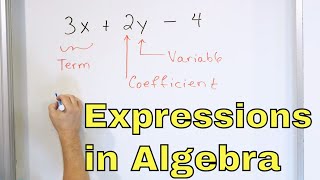 Identify Terms Coefficients amp Variables in Algebraic Expressions amp Equations  6513 [upl. by Willmert]