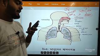 Overview Lecture  Zoology  Chapter 5 শ্বসন ও শ্বাসক্রিয়া সম্পূর্ণ লেকচার। [upl. by Obala600]