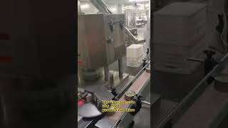 Pet Canned Production Line Dog Food Canned Production Line [upl. by Stiruc]