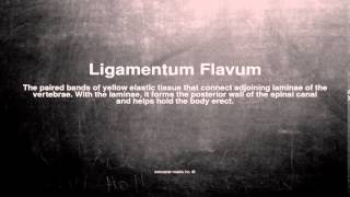 Medical vocabulary What does Ligamentum Flavum mean [upl. by Ecile]