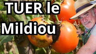 Comment se débarrasser du mildiou des tomates [upl. by Zavala]