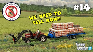 WE NEED TO SELL NOW  The Struggle is Real 14  Farming Simulator 22 [upl. by Annaed942]