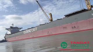 tandatlogistics wwwtadamarcom  Delivered the spares to Oldendorff Fleet at Ho Chi Minh city Port [upl. by Hanikehs]