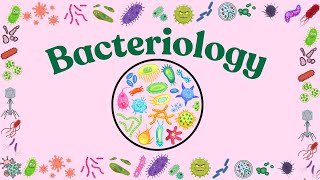 Introduction to Bacterial Structure [upl. by Matless492]